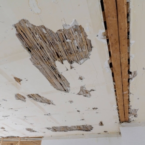 2025-10-22-vd-Ende-Eilandenbuurt-Rotterdam-057